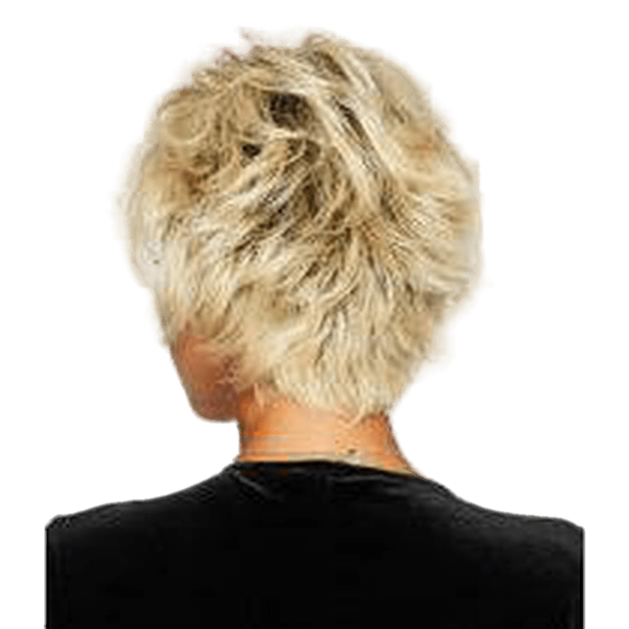 VOLTAGE - Wig  by Raquel Welch